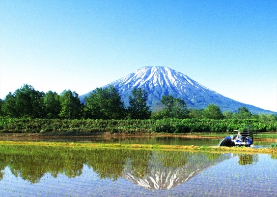 女性に人気!「羊蹄山」は恋愛成就のパワースポット!湧き水をいただこう!のイメージ