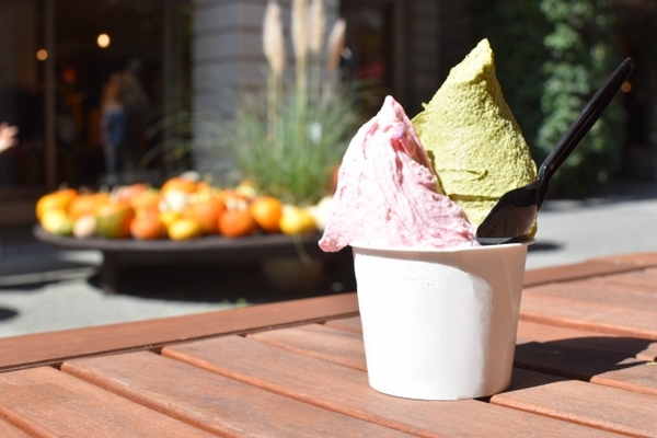 雫石町は絶品ジェラートが隠れ名物?松ぼっくりやまんまを紹介!のイメージ