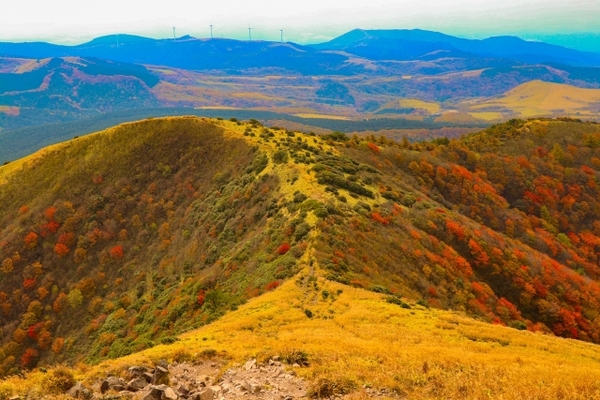 「涌蓋山」の登山情報まとめ!おすすめルートや難易度は?初心者でもOK?のイメージ