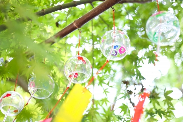 通称かえる寺?福岡「如意輪寺」はカエル好き必見の珍スポット!のイメージ