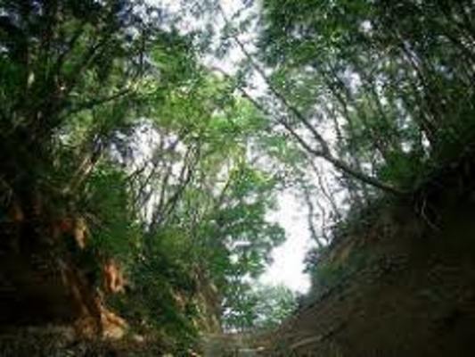 神奈川の心霊名所「旧善波トンネル」の過去とは?看板の真相や場所を解説!のイメージ