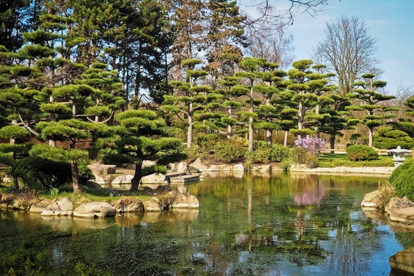アートから絶景まで!世界レベルの「足立美術館」の観光の見所を解説!のイメージ