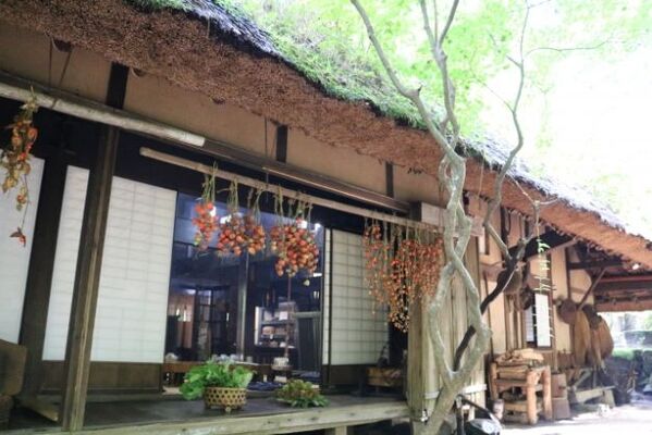 大自然に囲まれる!鳥取「みたき園」で味わう山菜料理や隠れ家カフェが最高!のイメージ
