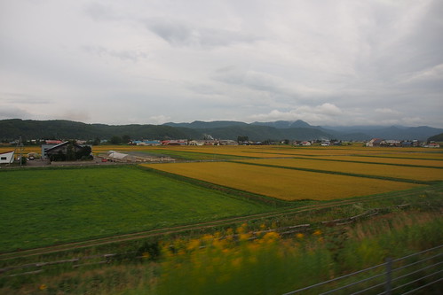 syasou
