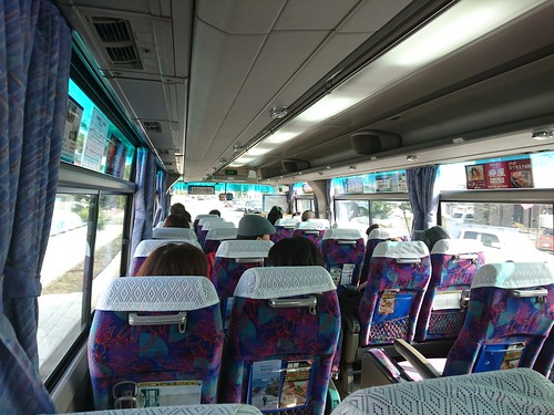 bus