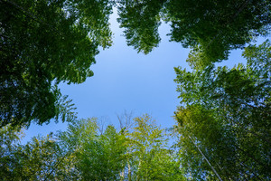 Medium