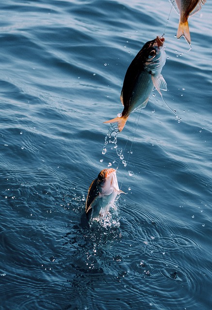 ocean-fishing