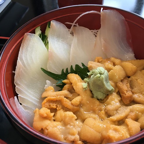 shakotan-uni