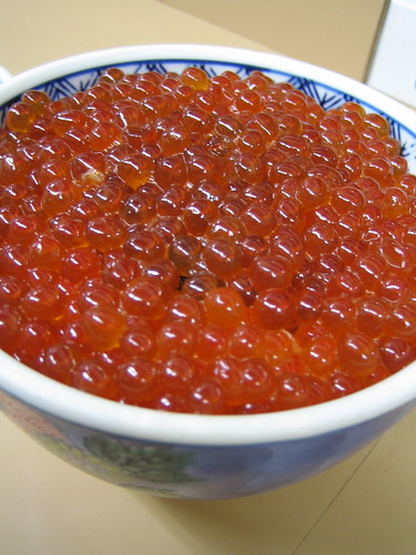 ikuradon