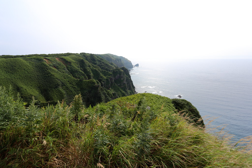 天売島