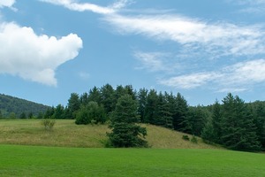 Medium