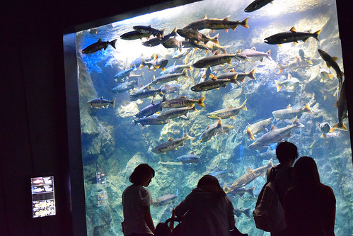 千歳水族館