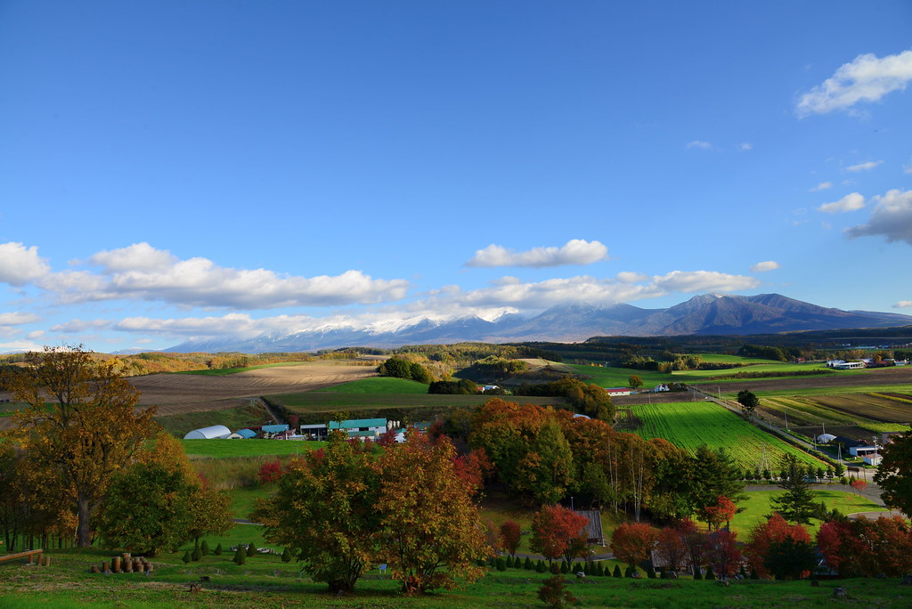 富良野