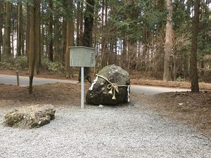 Medium