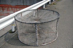 Medium