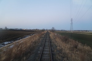 Medium