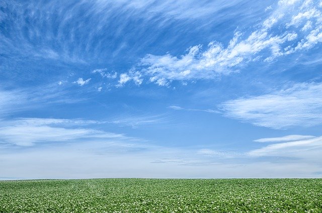 花畑と青空