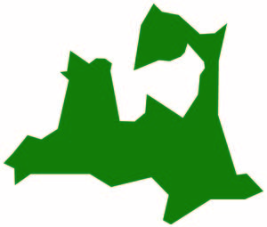 Medium