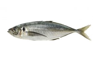 Medium
