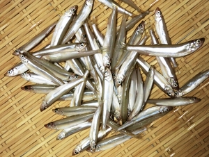 Medium
