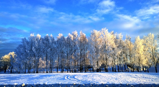 https://pixabay.com/ja/photos/%E5%86%AC-%E9%9B%AA-%E9%9B%AA%E3%81%AE%E9%A2%A8%E6%99%AF-%E9%9C%9C-2993975/