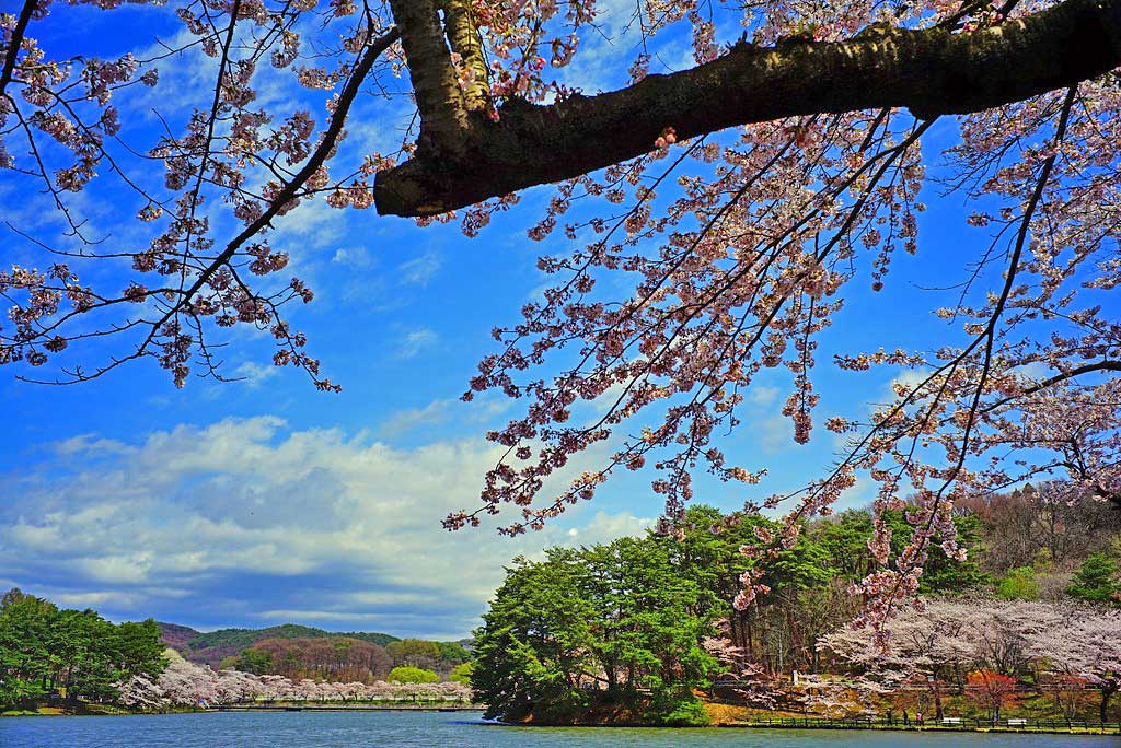 高松の池