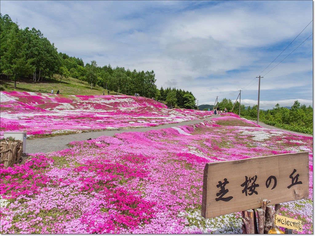 三島さんの芝ざくら庭園