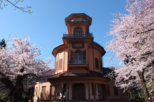 山形郷土館と桜