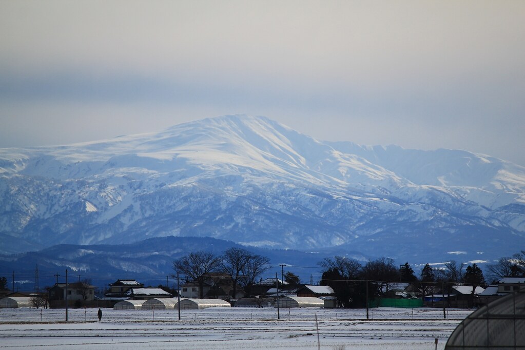 庄内平野