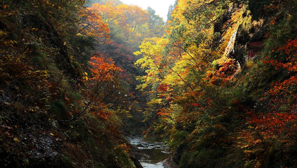 紅葉川渓谷
