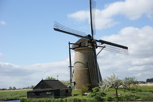 Medium