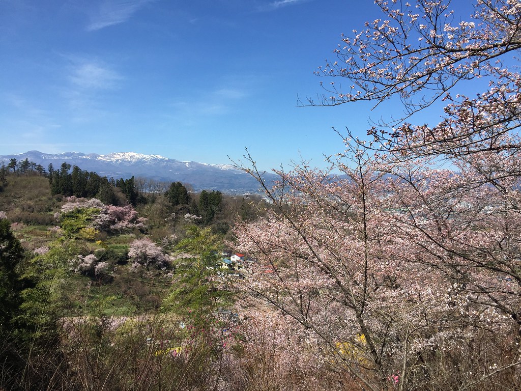 花見山公園