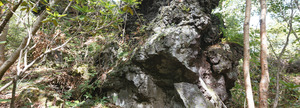 Medium