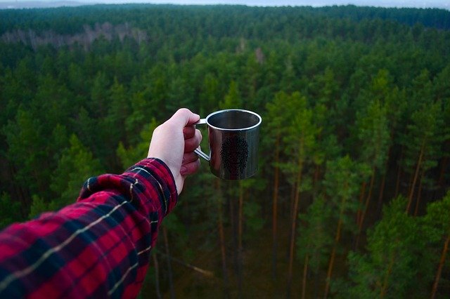 https://pixabay.com/ja/photos/%E3%82%A2%E3%83%89%E3%83%99%E3%83%B3%E3%83%81%E3%83%A3%E3%83%BC-%E3%82%AD%E3%83%A3%E3%83%B3%E3%83%97-%E6%A3%AE%E6%9E%97-1840292/