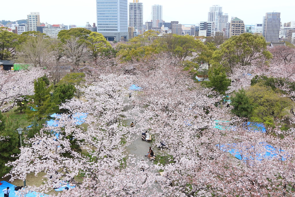 舞鶴公園