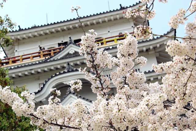 福山城と桜