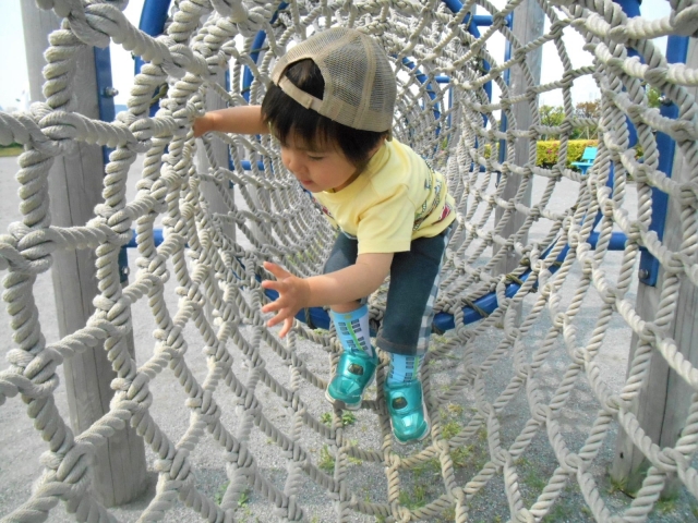 https://thumb.photo-ac.com/cc/ccda48efa8936b0dab0787b34ee404e9_w.jpeg