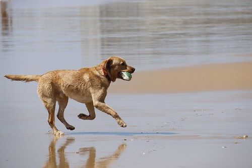 倉橋島のおすすめスポット15選！人気の観光地やカフェも！