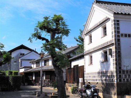 「ままかり寿司」は岡山の名物グルメ!美味しい食べ方や名店を紹介!