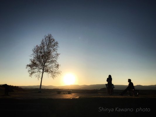 美瑛の丘はまさに絶景スポット！観光のベストシーズンやおすすめの見所は？のイメージ
