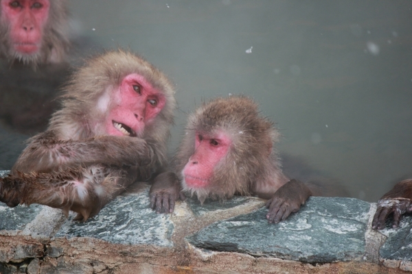 弘前の名湯「白馬龍神温泉」へ！広大な露天風呂や充実した館内施設！のイメージ