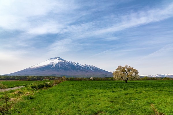 夏の岩手旅行で行きたい観光名所12選！夏休み旅行におすすめを厳選！のイメージ