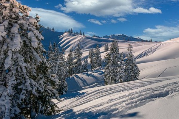 岩手の冬を満喫！雪国のおすすめ観光スポットから穴場まで厳選TOP16！のイメージ