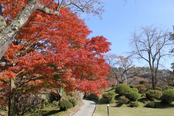 秋田「きみまち阪公園」で恋愛成就？紅葉や桜が綺麗なパワースポット！のイメージ