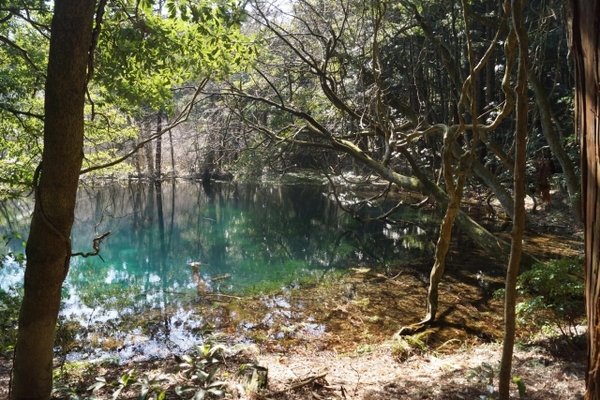 山形の奇跡の泉「丸池様」を観光！変色する絶景やアクセス&駐車場は？のイメージ