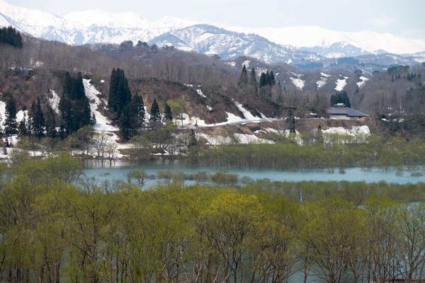 山形「白川ダム」には幻想的な水没林！湖岸公園や撮影ポイントを解説！のイメージ
