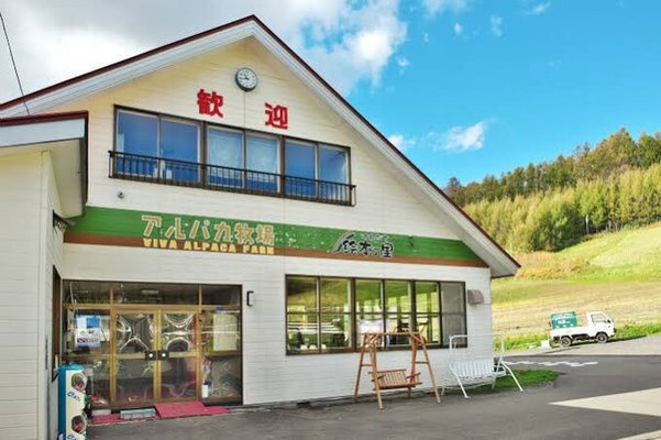 北海道・剣淵町「ビバアルパカ牧場」へ！可愛いアルパカに会いにいこう！のイメージ