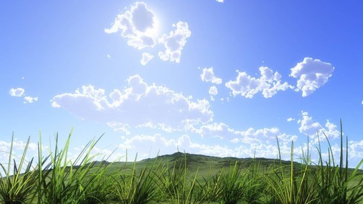 「三ノ倉高原」は約200万本のひまわり畑！菜の花やコスモスの絶景も！のイメージ