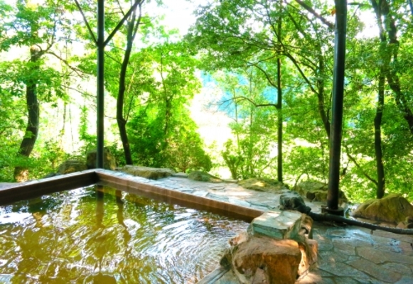 母畑温泉「八幡屋」で美しい自然と名湯を味わう！日帰りや観光情報も！のイメージ