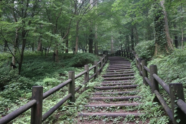 南会津「中山風穴」は神秘の地底空間？天然記念物の特殊植物群落とは！のイメージ
